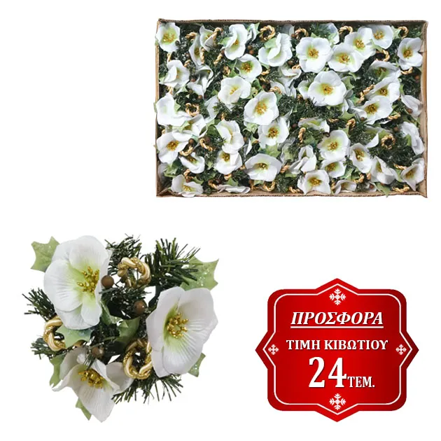 17318-WHITE-Web-Offer