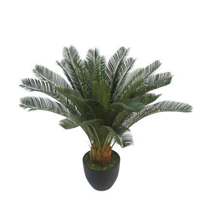 ΔΕΝΤΡΟ ΚΥΚΑΣ ΣΕ ΓΛΑΣΤΡΑ - Y72cm 4/ΚΙΒ