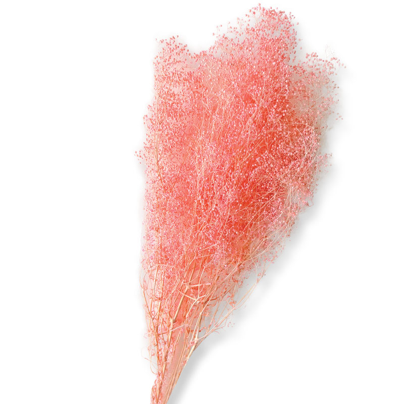 00-68896-2-BABY-PINK