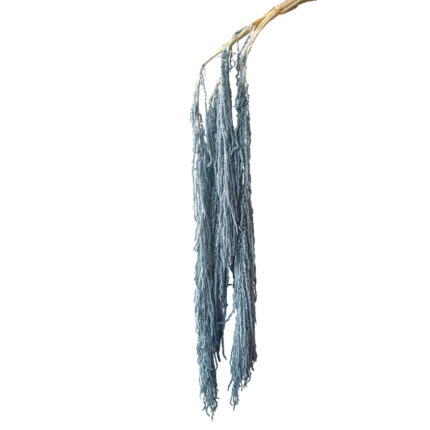 ΔΙΑΤΗΡΗΜΕΝΟ ΜΠΛΕ/ΓΚΡΙ ΚΡΕΜΑΣΤΟ ΚΛΑΔΙ ΑΜΑΡΑΝΘΟΣ ΜΑΤΣΟ ~5τμχ - Υ120cm