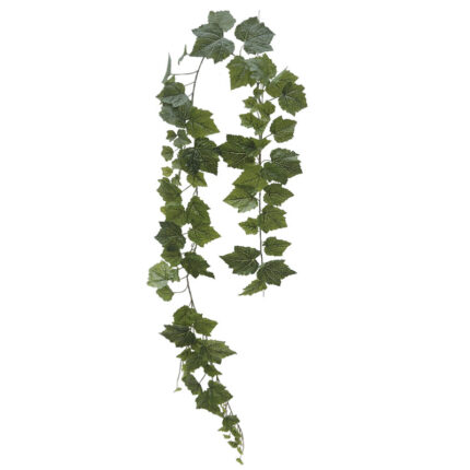 ΚΡΕΜΑΣΤΟΣ ΚΙΣΣΟΣ ΠΡΑΣΙΝΟ - 195cm 48/ΚΙΒ