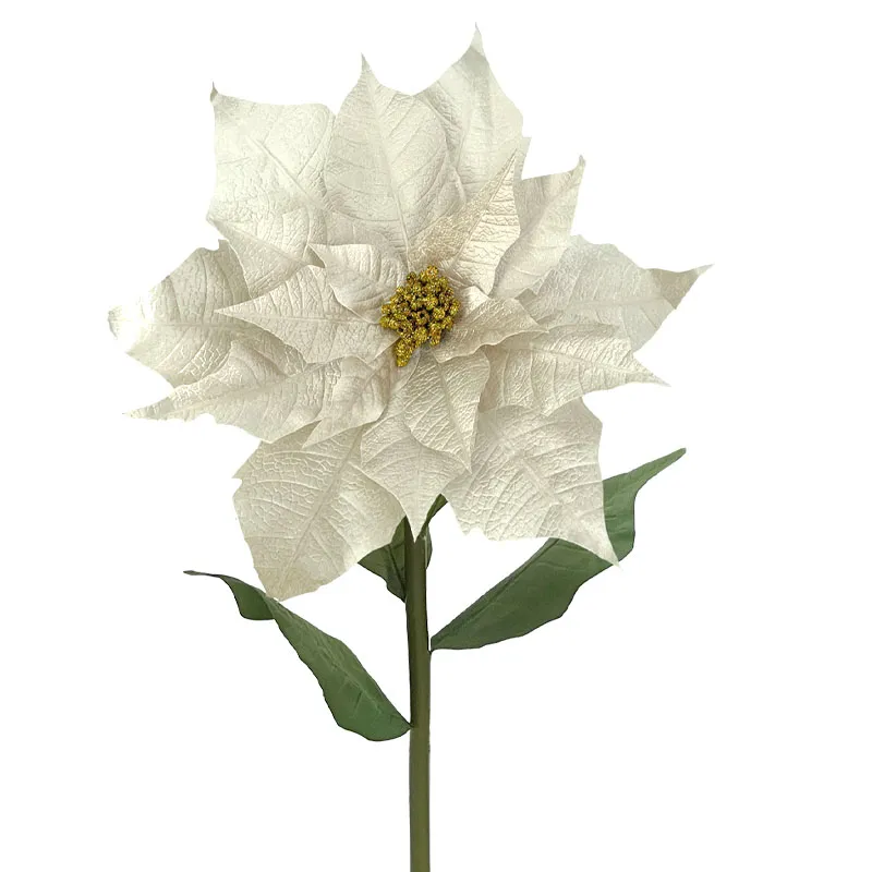 23841-50-2_