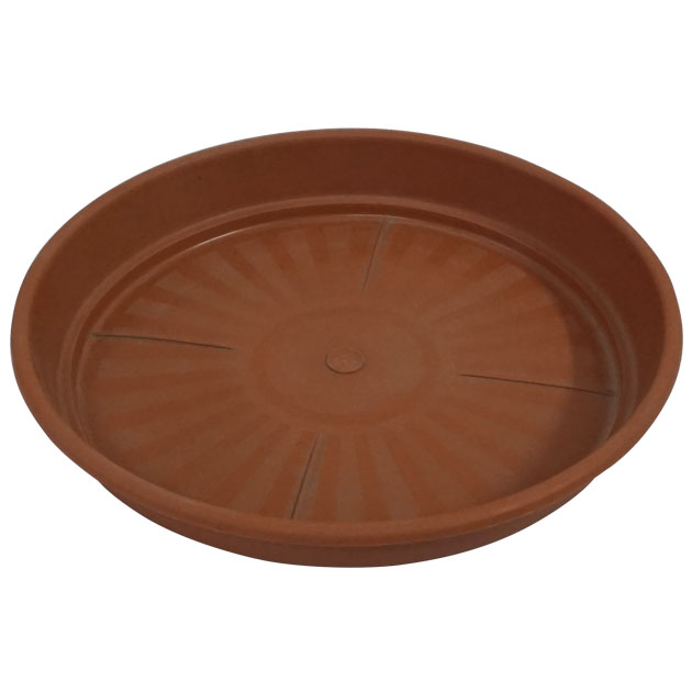 301_plate_brown