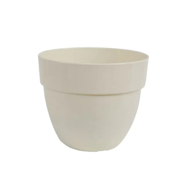 541_cream
