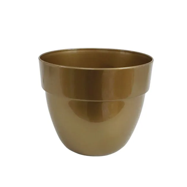 541_gold
