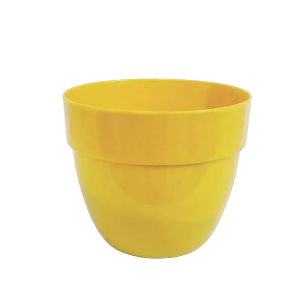 541_yellow