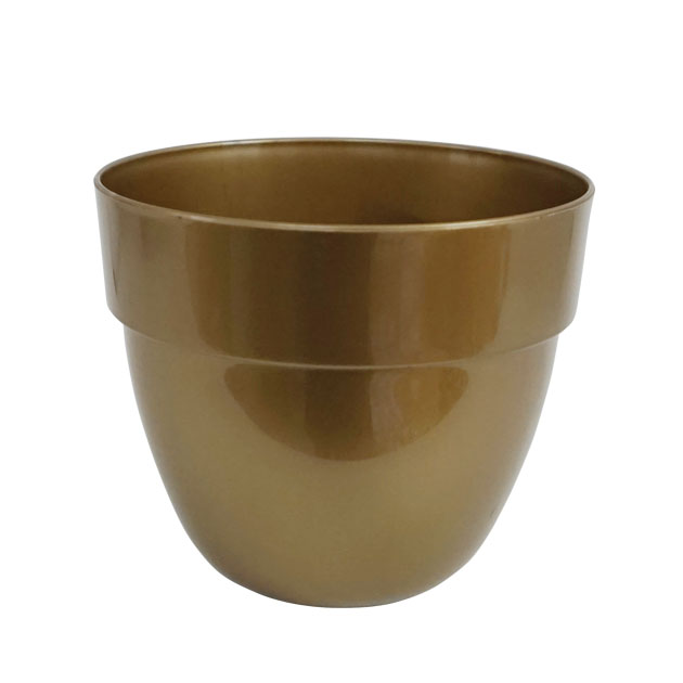 542_gold