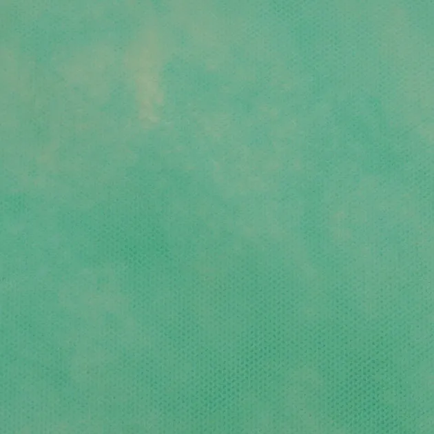 11-01-60-6-2_PPL