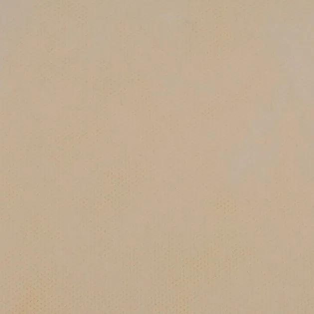 11-01-60-6-4_PPL