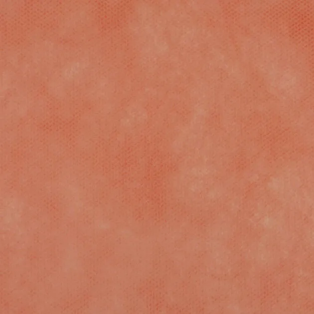11-01-60-6-6_PPL