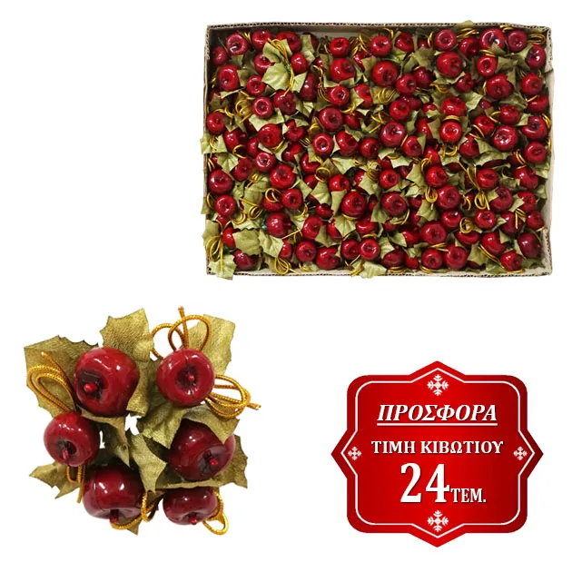 17277-Web-Offer