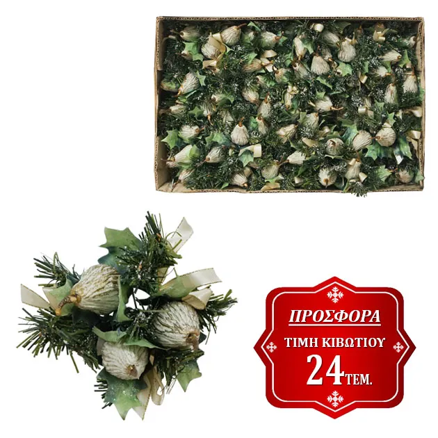 17313-Web-Offer
