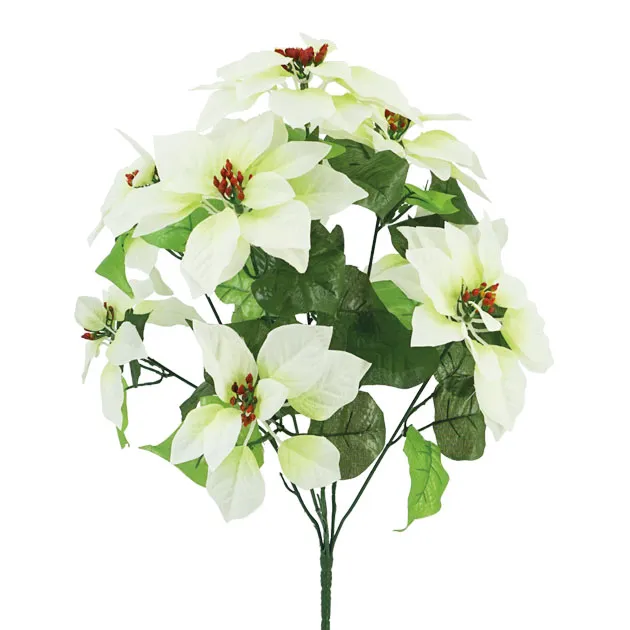 22995-WHITE